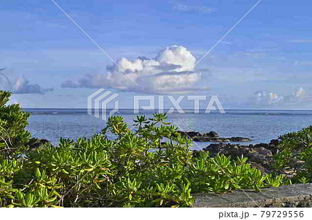 奄美大島の海と夏雲 奄美大島の海と夏雲 79729556