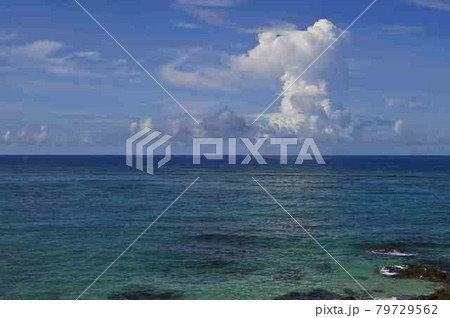 奄美大島の海と夏雲 奄美大島の海と夏雲 79729562