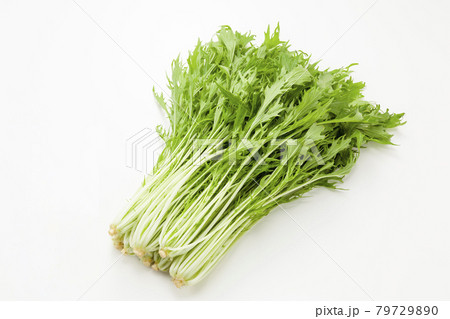 水菜 79729890