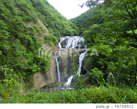 日本三名瀑 袋田の滝(茨城県久慈郡大子町袋田)初夏 日本三名瀑 袋田の滝(茨城県久慈郡大子町袋田)初夏 79730012