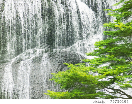 日本三名瀑 袋田の滝(茨城県久慈郡大子町袋田)初夏 日本三名瀑 袋田の滝(茨城県久慈郡大子町袋田)初夏 79730192