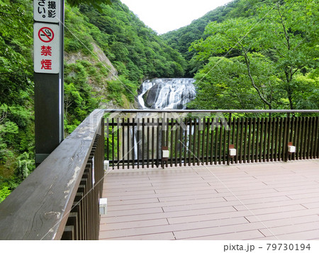 日本三名瀑　袋田の滝（茨城県久慈郡大子町袋田）初夏 79730194