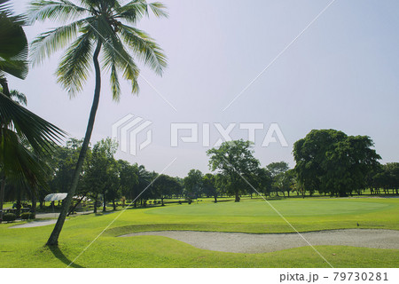 Golf course Golf course 79730281