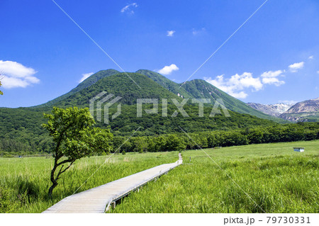 長者原　タデ原湿原とくじゅう連山 79730331