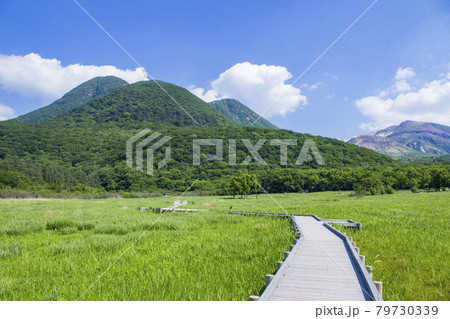 長者原　タデ原湿原とくじゅう連山 79730339