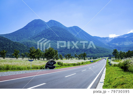 長者原 長者原 79730395