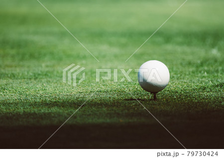 Golf ball on grass Golf ball on grass 79730424