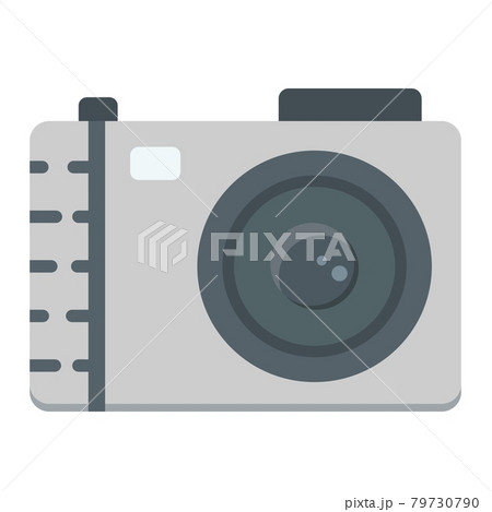 Camera flat icon, photo and capture Camera flat icon, photo and capture 79730790