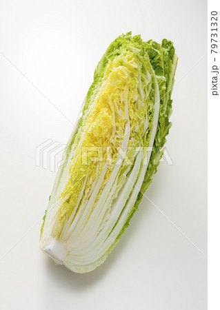 小量の白菜 79731320