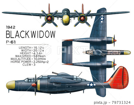 USボラックウイドウ 79731324