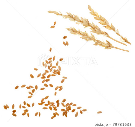 Wheat on white 79731633