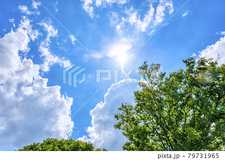 夏の空　横浜 79731965