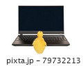 little duckling at the laptop 79732213