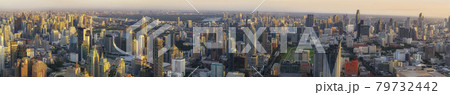 Bangkok city panorama Bangkok city panorama 79732442