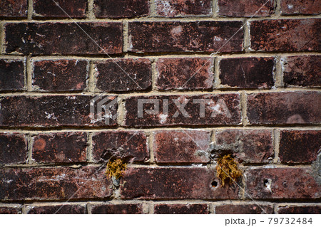 煉瓦造りの壁面 煉瓦造りの壁面 79732484