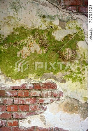 煉瓦造りの壁面 79732528