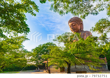 聚楽園大仏、公園にたたずむ巨大な大仏〈愛知県東海市〉 聚楽園大仏、公園にたたずむ巨大な大仏〈愛知県東海市〉 79732751