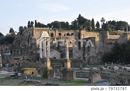 イタリア、ローマ、フォロロマーノ、カストルとポルックスの神殿、パラティーノの丘 79732787