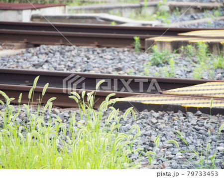 鉄道 線路 79733453