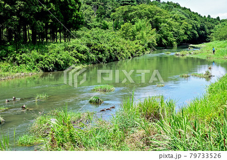 小川町散歩：小川盆地を流れる槻川 79733526