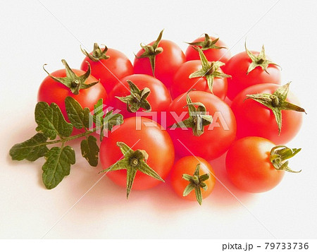 トマト とまと トマトの実と葉 完熟トマト 物撮り トマト とまと トマトの実と葉 完熟トマト 物撮り 79733736