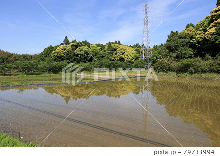 のどかな風景 のどかな風景 79733994