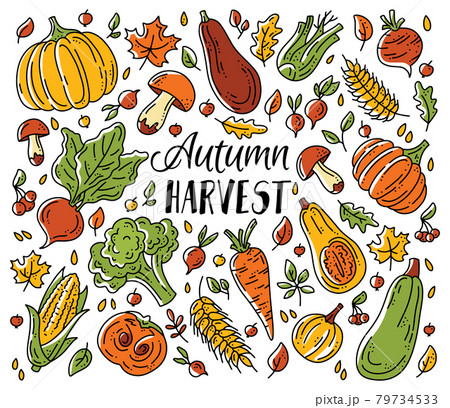 A set of vegetables and mushrooms for the autumn harvest A set of vegetables and mushrooms for the autumn harvest 79734533
