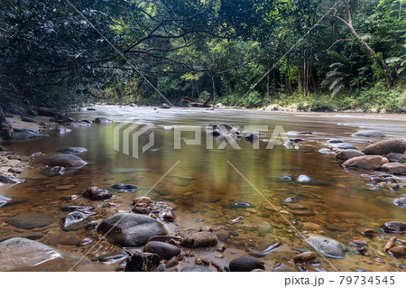 Scenic nature view of Tahan River with lush rainforest foliage at Taman Negara National Park, Pahang Scenic nature view of Tahan River with lush rainforest foliage at Taman Negara National Park, Pahang 79734545