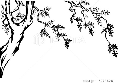 木と枝のイラスト素材
