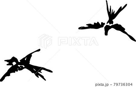 空飛ぶ2羽のツバメ 空飛ぶ2羽のツバメ 79736304