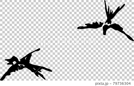空飛ぶ2羽のツバメ 空飛ぶ2羽のツバメ 79736304