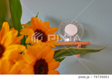 棚の上に置いた湿度計とヒマワリの花束の装飾 79736661