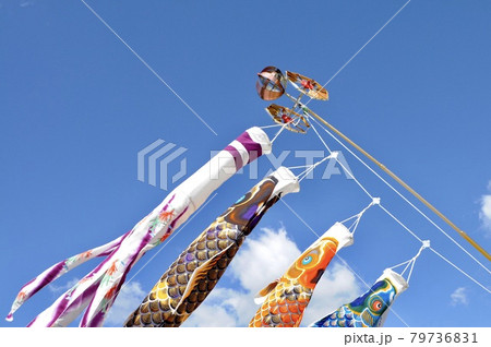 青空ではためく鯉のぼり 青空ではためく鯉のぼり 79736831