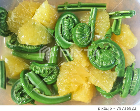 春の味覚・山菜のこごみのマリネ 79736922