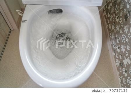 新築住宅のトイレの試運転 新築住宅のトイレの試運転 79737135