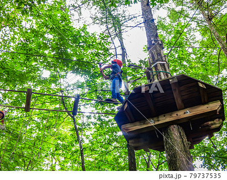 木の上のアスレチック 79737535
