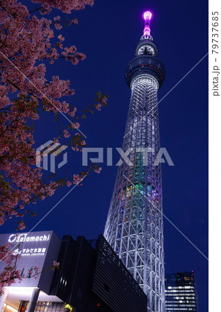 東京スカイツリーと夜桜③ 東京スカイツリーと夜桜③ 79737685