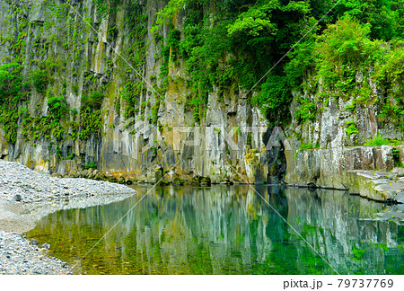 新緑に流れる奥岳川の清流 新緑に流れる奥岳川の清流 79737769