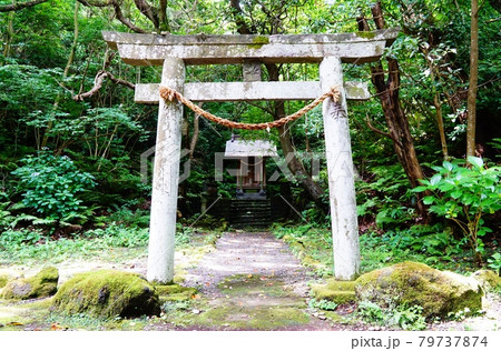 真鶴半島 山の神社 真鶴半島 山の神社 79737874