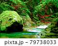 新緑の山　 79738033