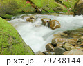 新緑の山　 79738144