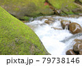新緑の山　 79738146