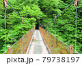 新緑の川 79738197
