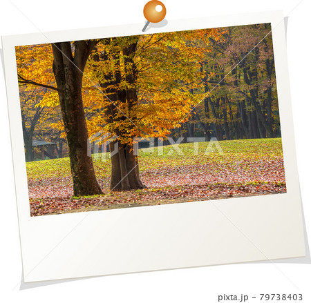 ポラロイド風写　愛知県　名古屋市　名城公園の紅葉 79738403