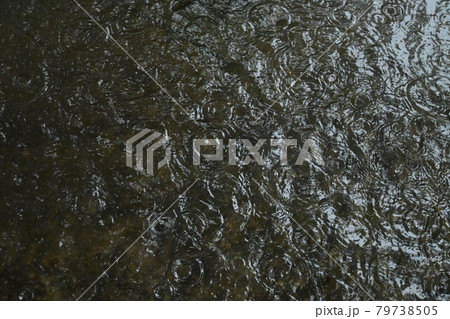 梅雨時のゲリラ豪雨と波紋 梅雨時のゲリラ豪雨と波紋 79738505