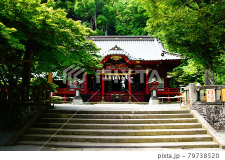熱海 伊豆山神社 本殿 熱海 伊豆山神社 本殿 79738520