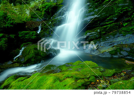 緑に包まれた大除沢不動滝 79738854