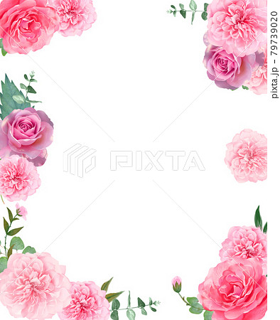 美しい色使いの薔薇の花と植物の白バックフレームイラスト素材のイラスト素材