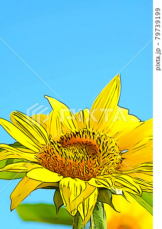 パステル調 青空とひまわりの花 イラストイメージのイラスト素材