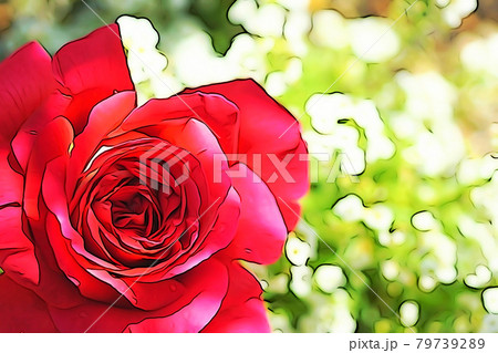 パステル調　”バラの花”　イラストイメージ 79739289